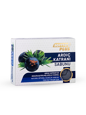 Softto Plus