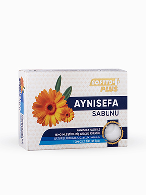 Softto Plus