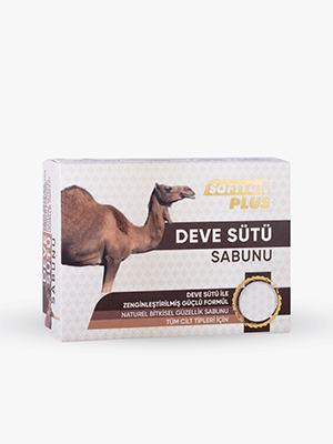 Softto Plus