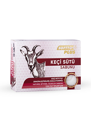 Softto Plus