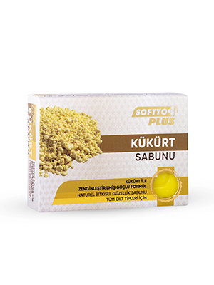 Softto Plus