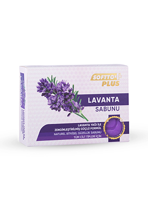 Softto Plus